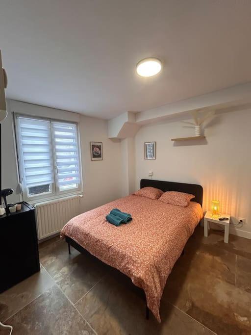 La Ptite Albi Home Nancy Exterior photo